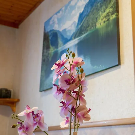 Naturparadies Naehe Gruener Апартаменты Oberdorf (Bruck-Murzzuschlag)