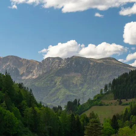 Naturparadies Naehe Gruener Apartmán